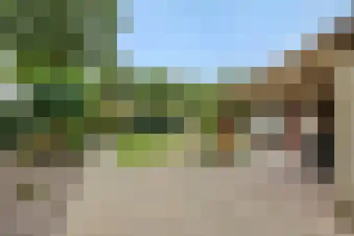 Peelschol 1 Deurne thumbnail 35
