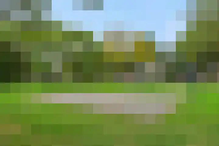 Peelschol 1 Deurne thumbnail 36