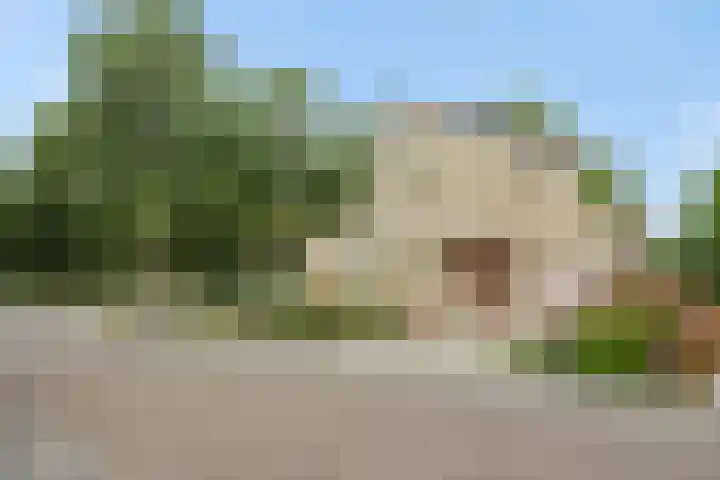 Peelschol 1 Deurne thumbnail 37