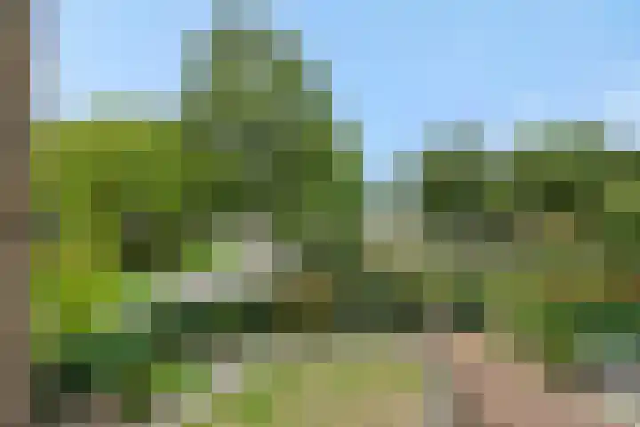Peelschol 1 Deurne thumbnail 39