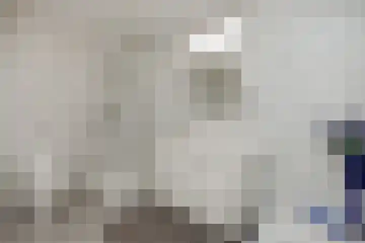 Peelschol 1 Deurne thumbnail 4