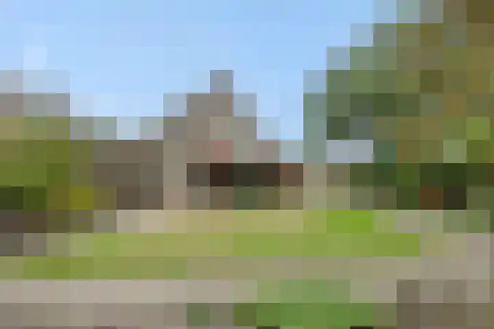 Peelschol 1 Deurne thumbnail 5