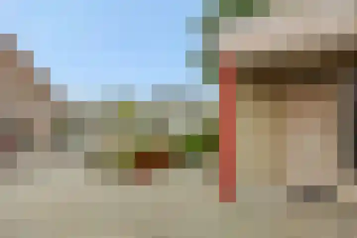 Peelschol 1 Deurne thumbnail 7
