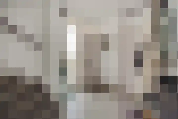 Peelschol 1 Deurne thumbnail 8