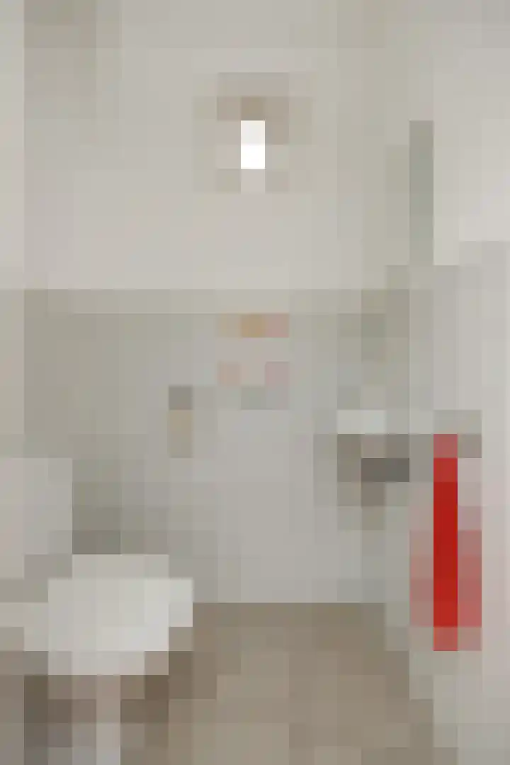 Peelschol 1 Deurne thumbnail 9