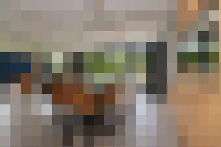 Peelstraat 13 Vorstenbosch thumbnail 17