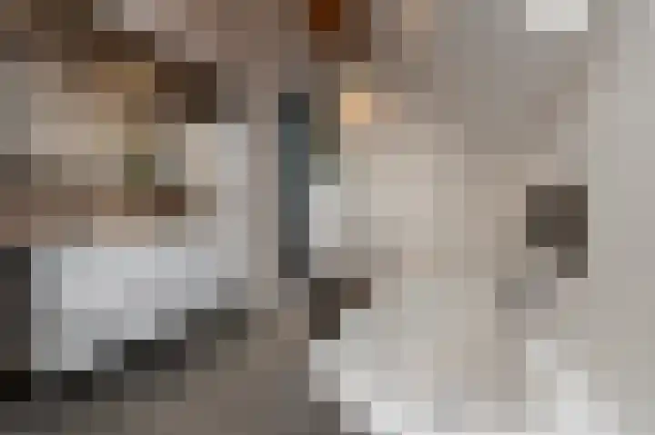 Peelstraat 13 Vorstenbosch thumbnail 31