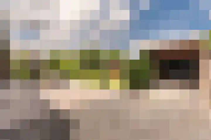 Peelstraat 13 Vorstenbosch thumbnail 33