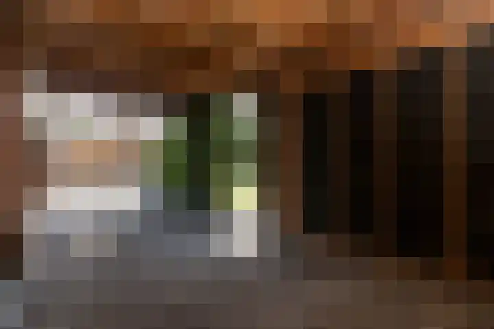 Peelstraat 13 Vorstenbosch thumbnail 34