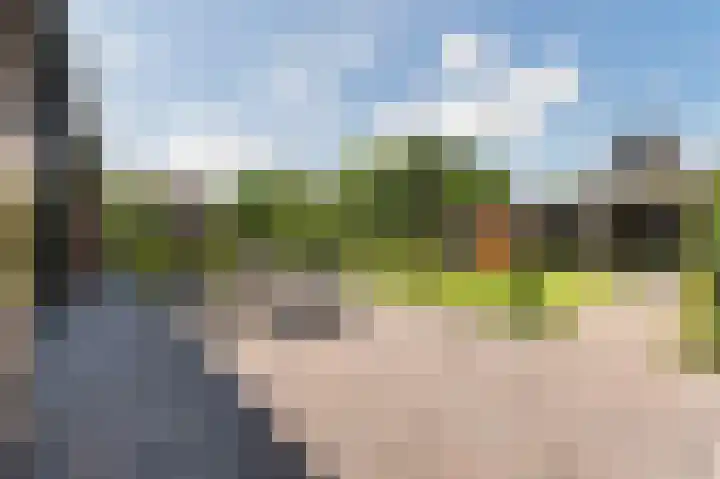Peelstraat 13 Vorstenbosch thumbnail 35