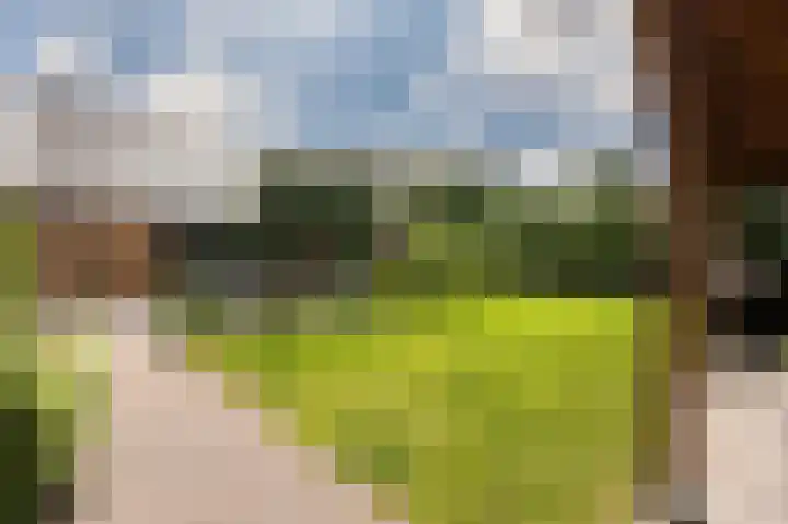 Peelstraat 13 Vorstenbosch thumbnail 36