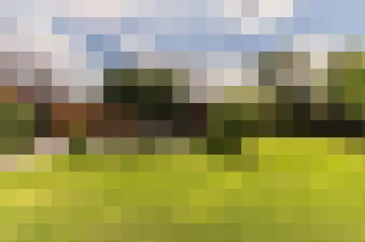 Peelstraat 13 Vorstenbosch thumbnail 37