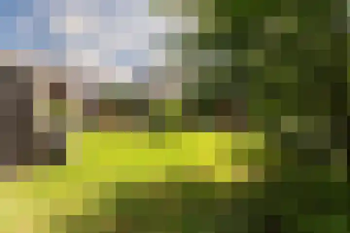 Peelstraat 13 Vorstenbosch thumbnail 38