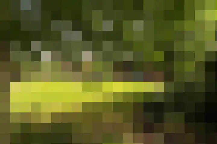 Peelstraat 13 Vorstenbosch thumbnail 39