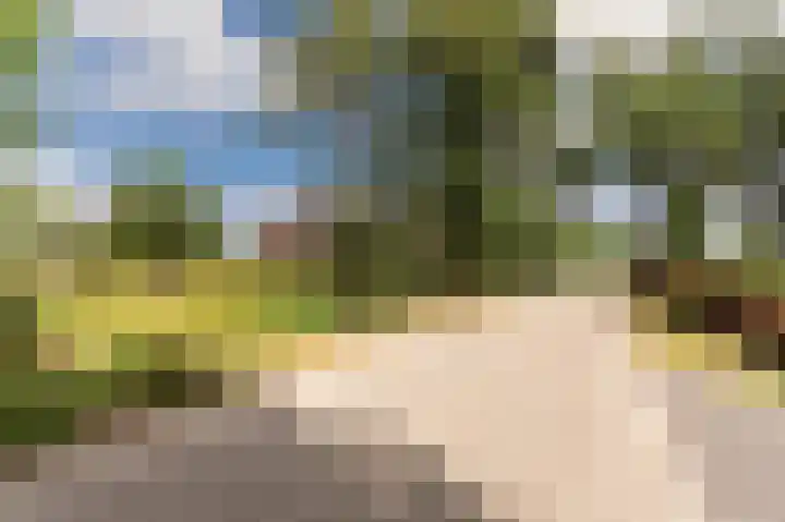 Peelstraat 13 Vorstenbosch thumbnail 4