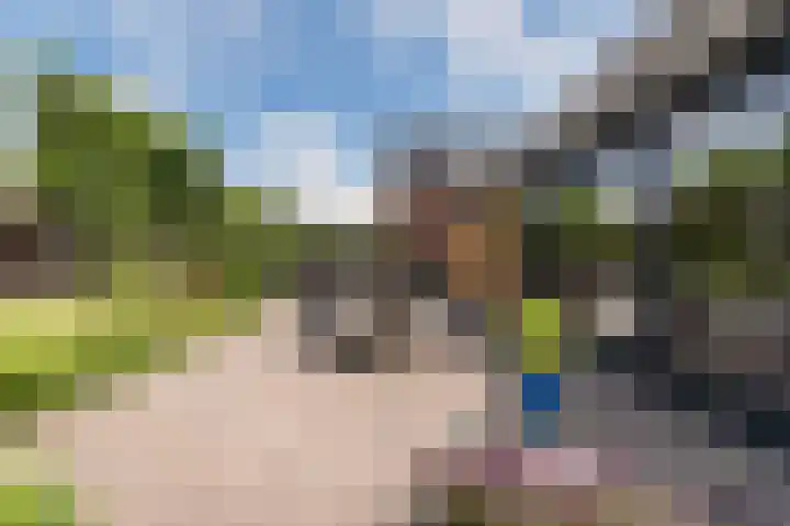 Peelstraat 13 Vorstenbosch thumbnail 41