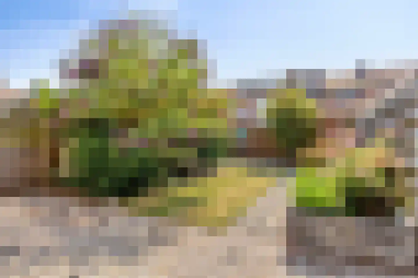 Peelstraat 18 Beverwijk thumbnail 20