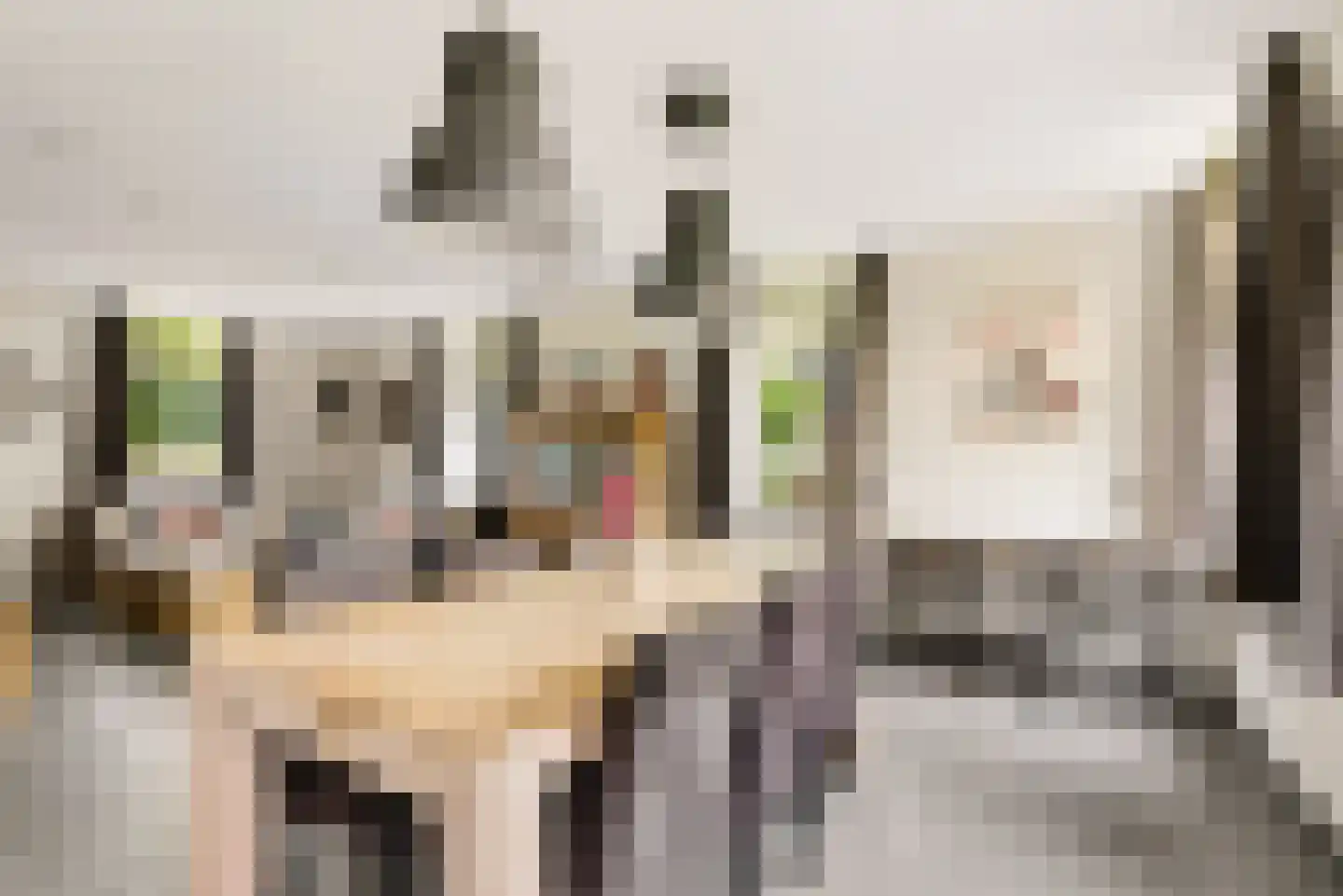 Peelstraat 21 Boekel thumbnail 10