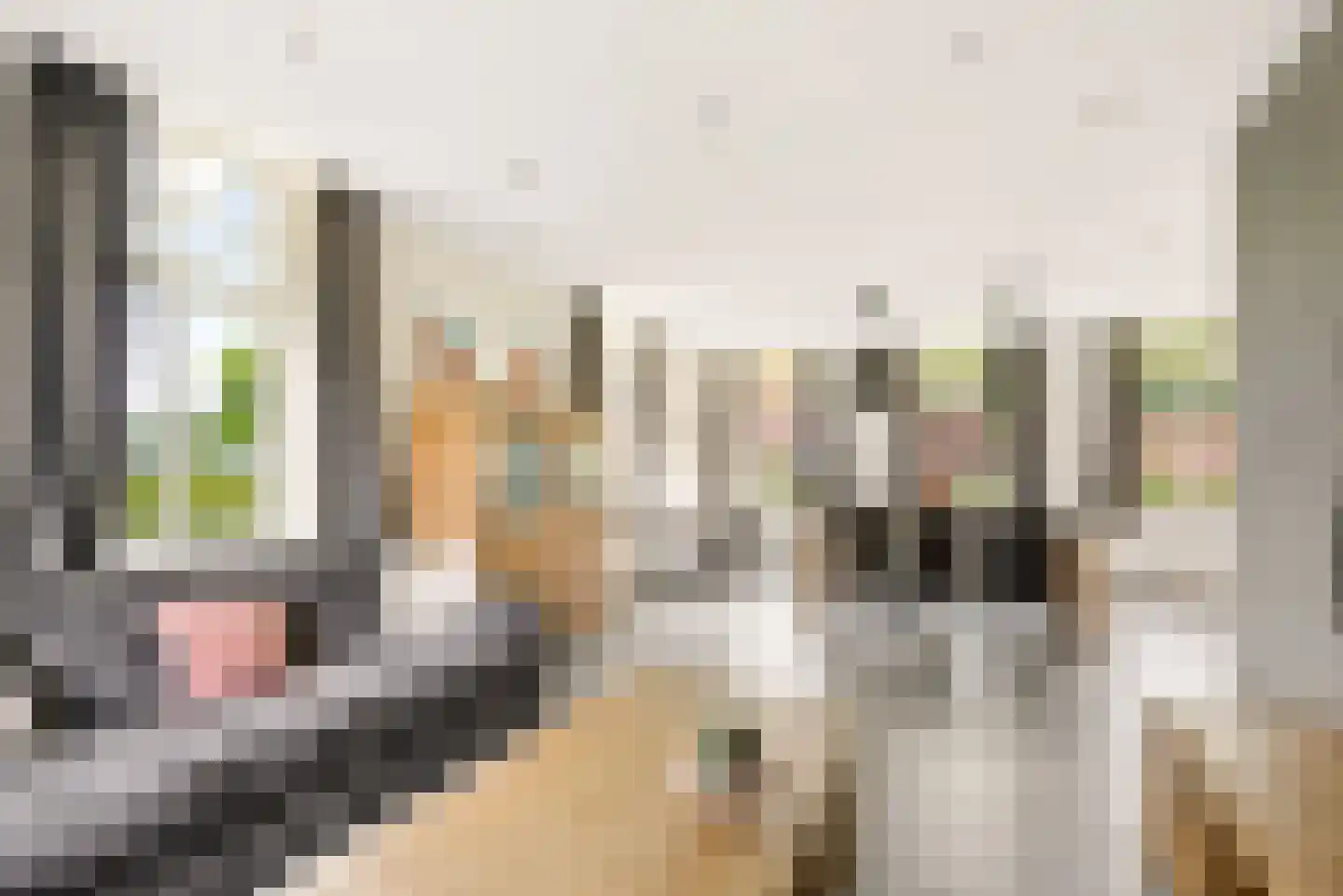 Peelstraat 21 Boekel thumbnail 12