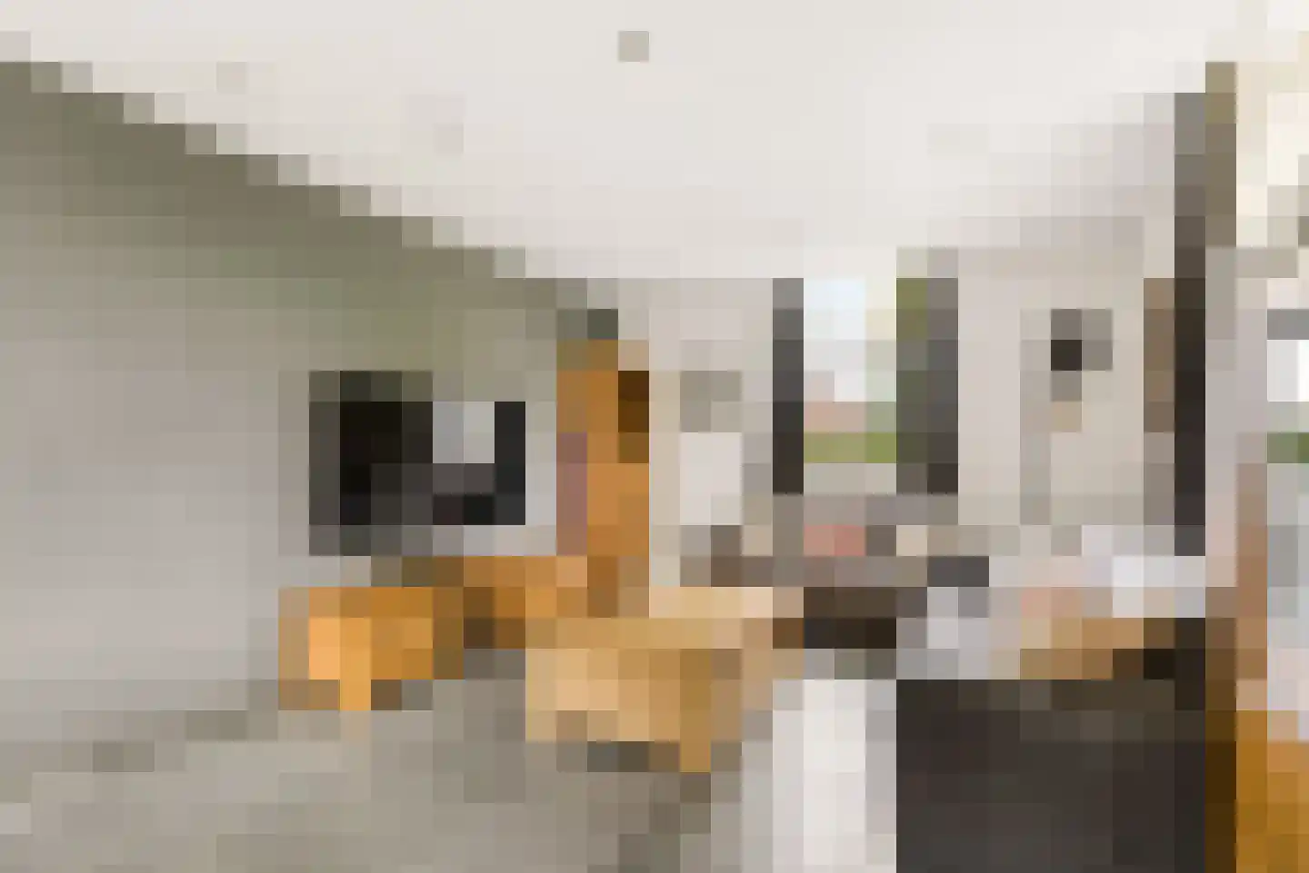 Peelstraat 21 Boekel thumbnail 13