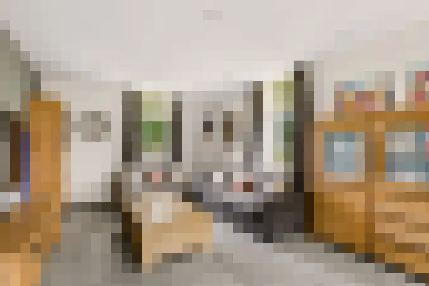 Peelstraat 21 Boekel thumbnail 15