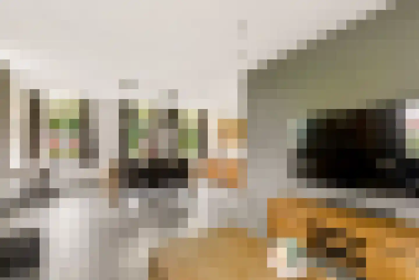 Peelstraat 21 Boekel thumbnail 16