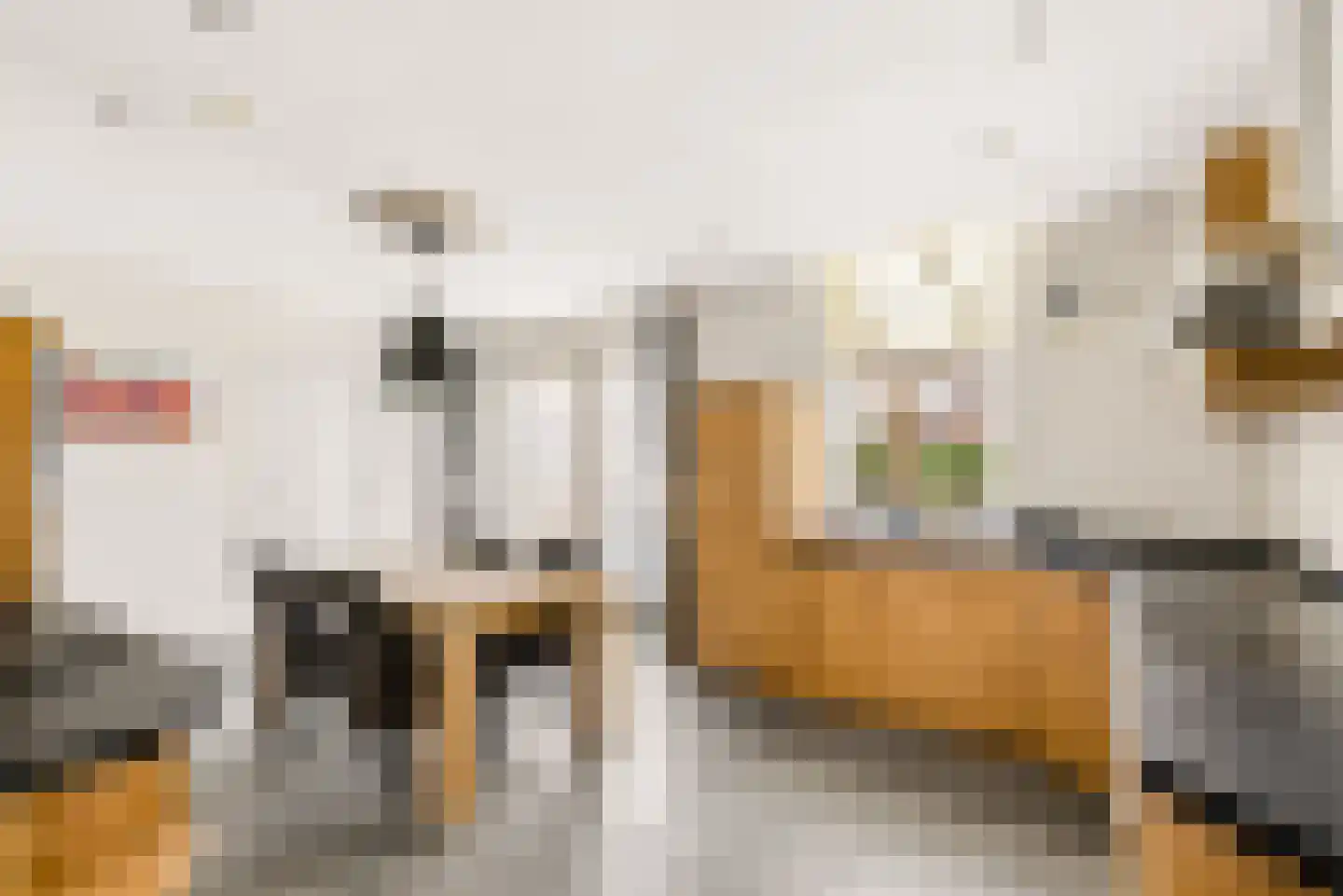 Peelstraat 21 Boekel thumbnail 17