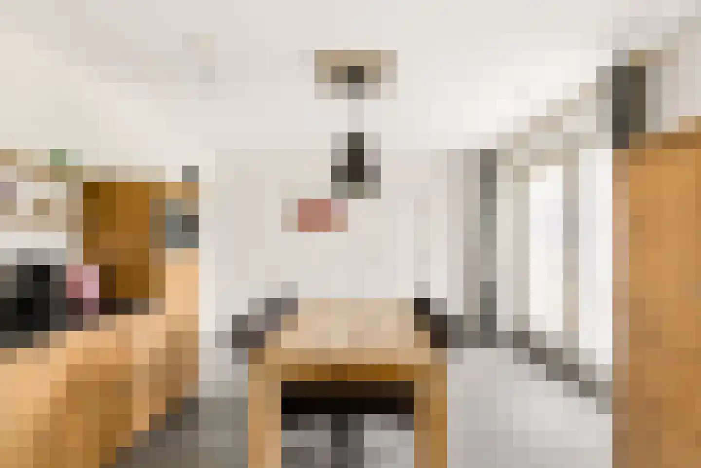 Peelstraat 21 Boekel thumbnail 20