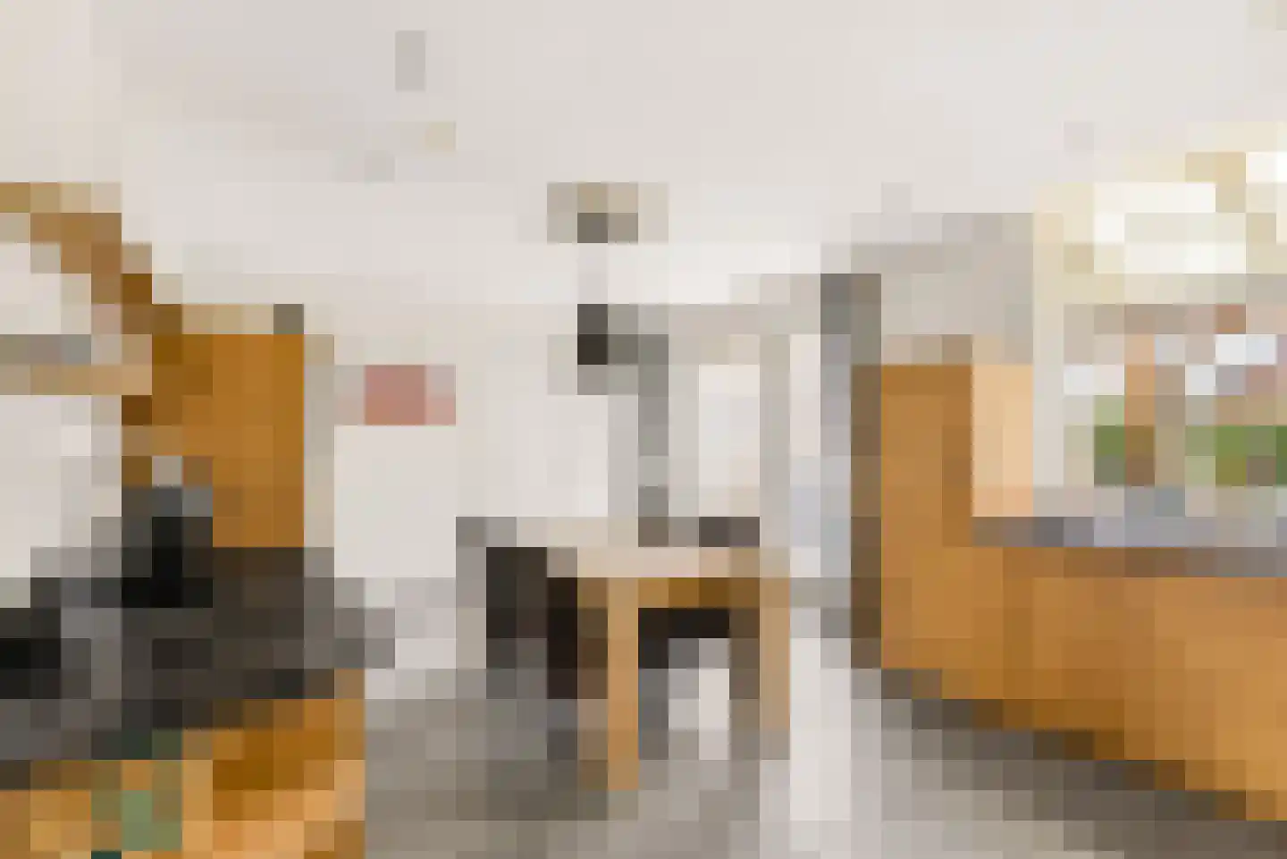 Peelstraat 21 Boekel thumbnail 21