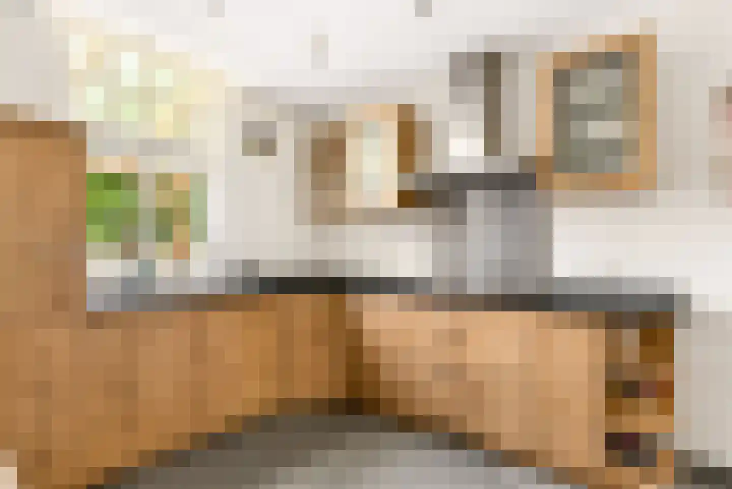 Peelstraat 21 Boekel thumbnail 22