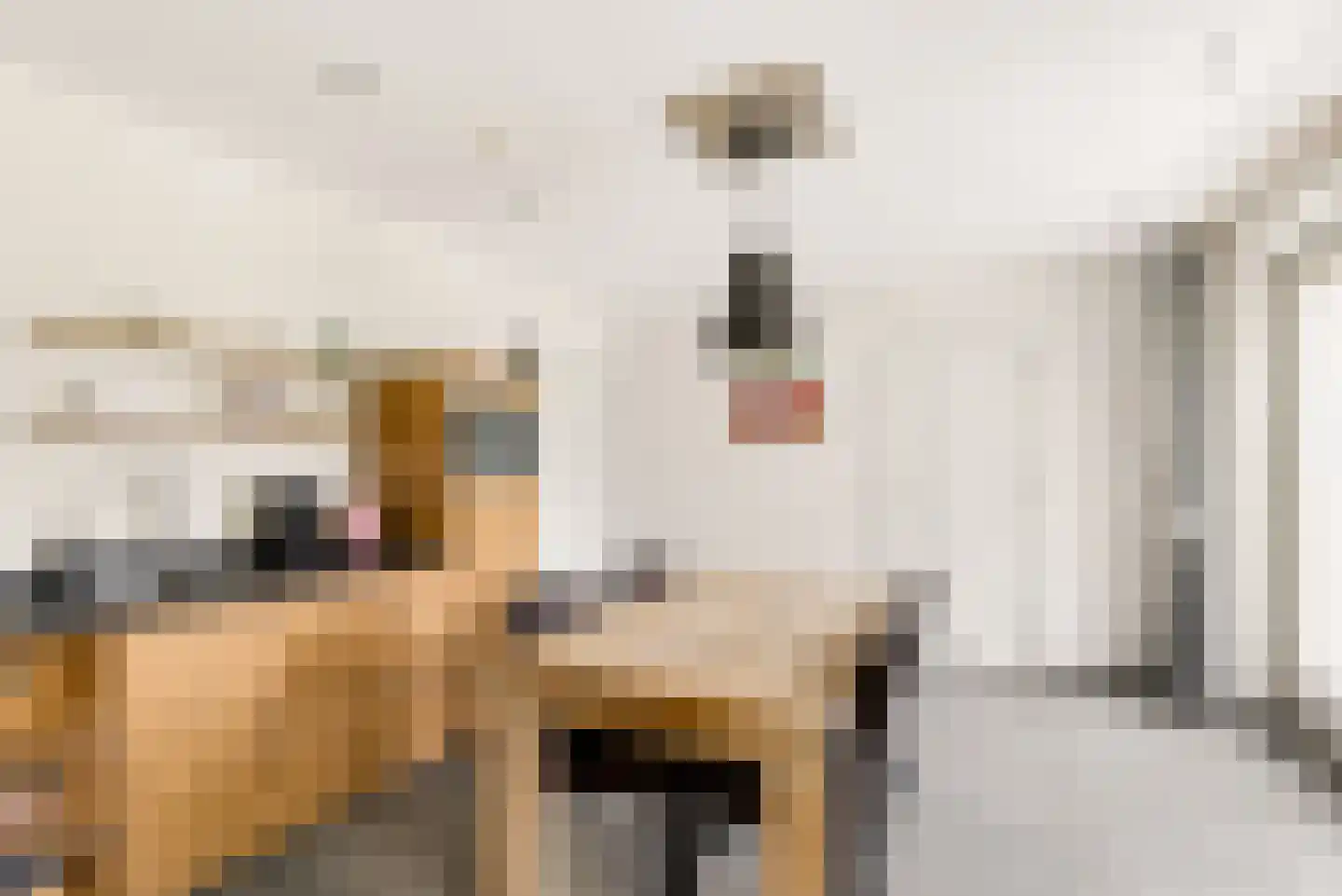 Peelstraat 21 Boekel thumbnail 23