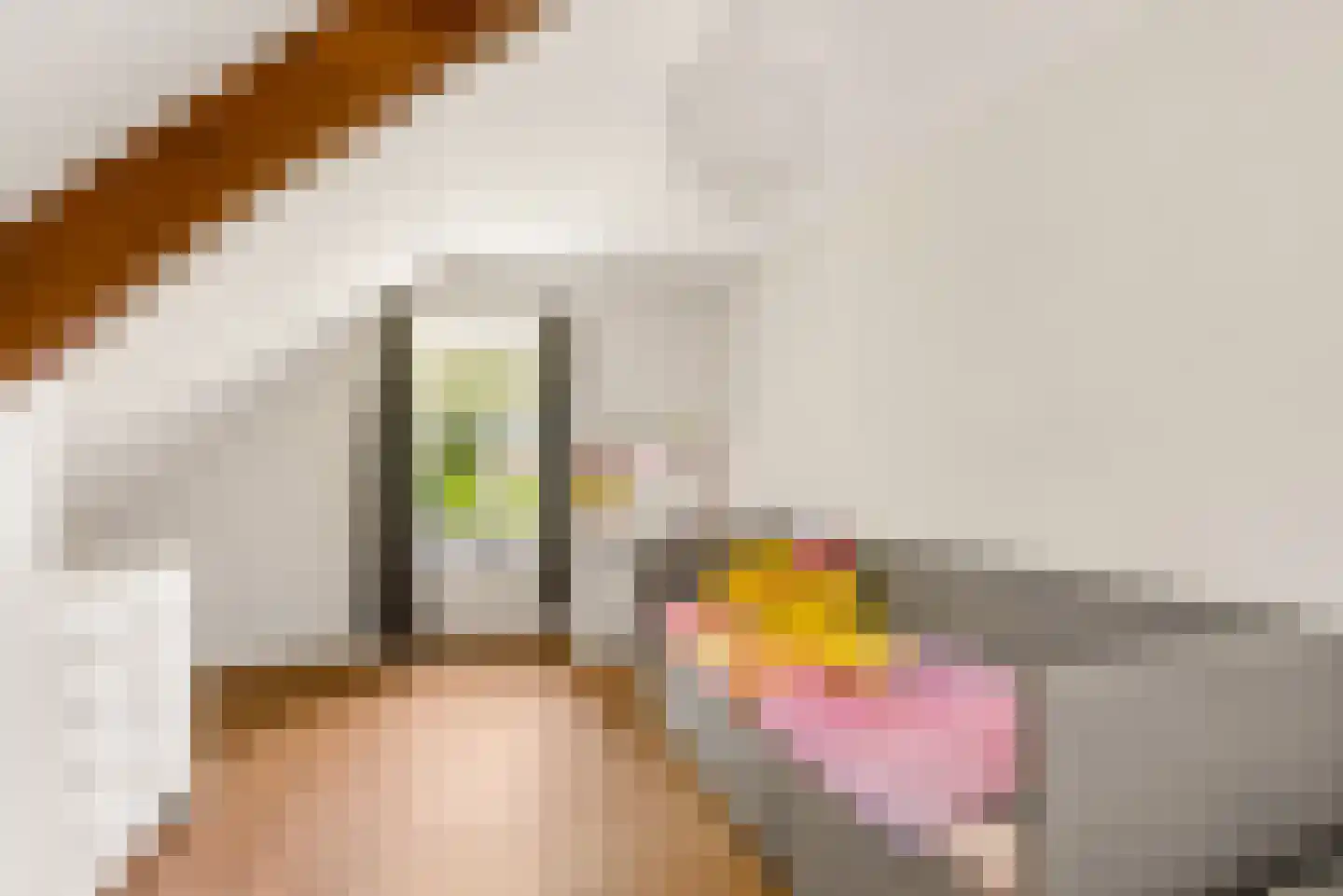 Peelstraat 21 Boekel thumbnail 29