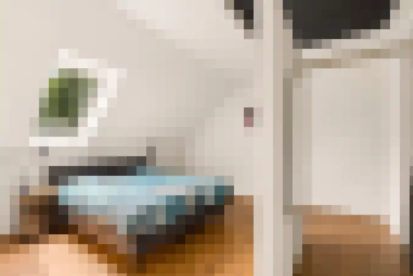 Peelstraat 21 Boekel thumbnail 34
