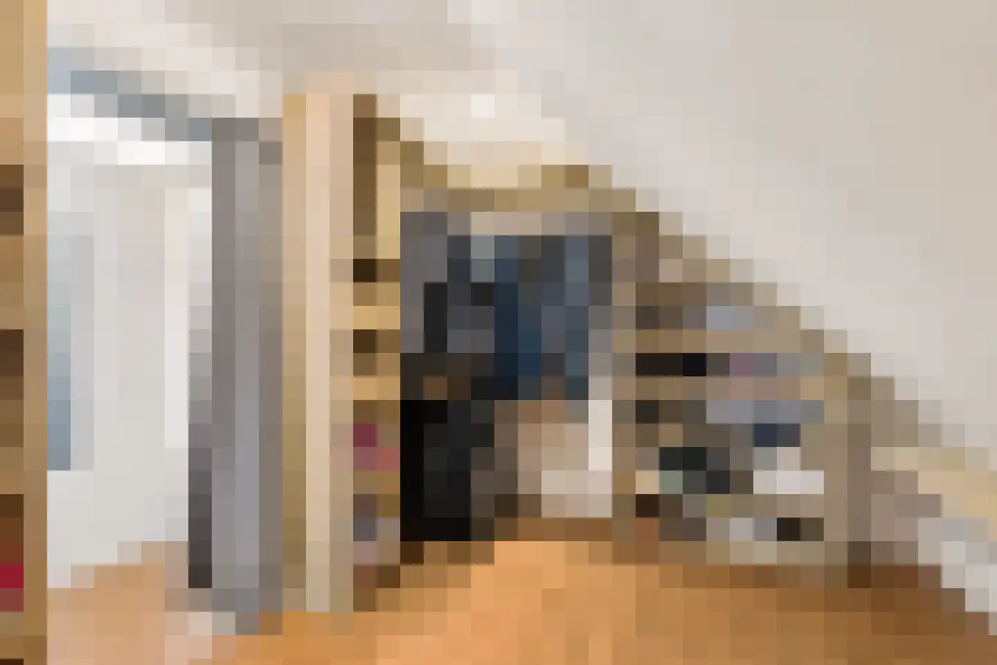 Peelstraat 21 Boekel thumbnail 36
