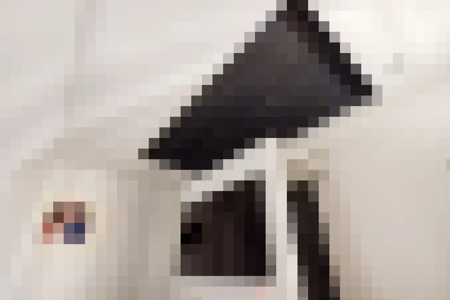 Peelstraat 21 Boekel thumbnail 37