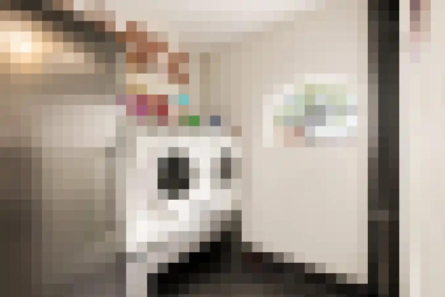 Peelstraat 21 Boekel thumbnail 41