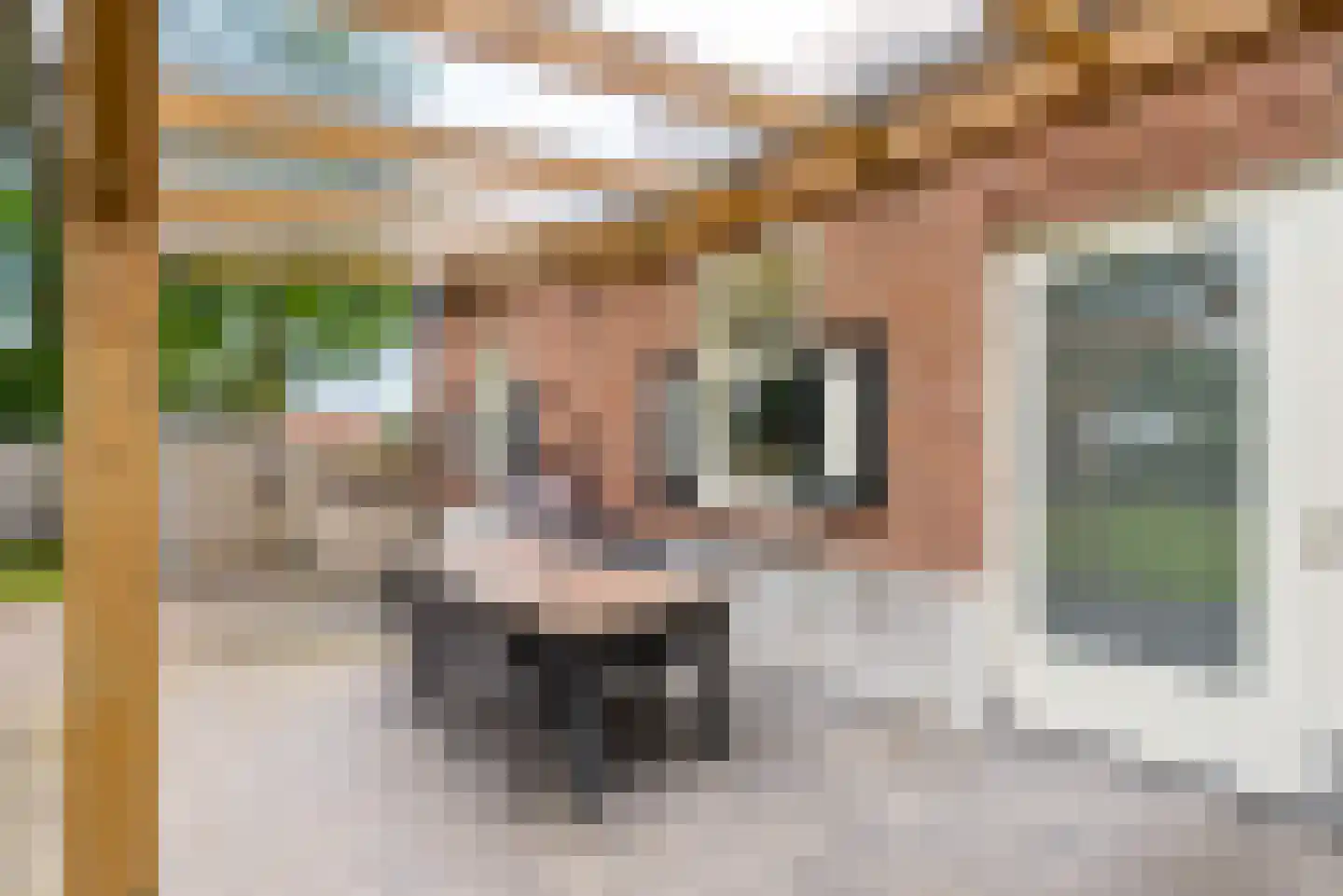 Peelstraat 21 Boekel thumbnail 43