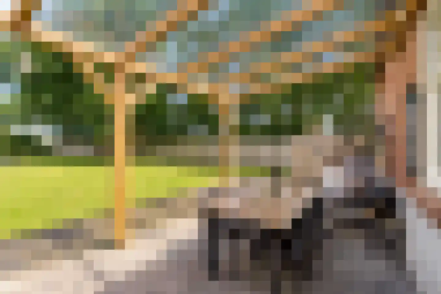 Peelstraat 21 Boekel thumbnail 46