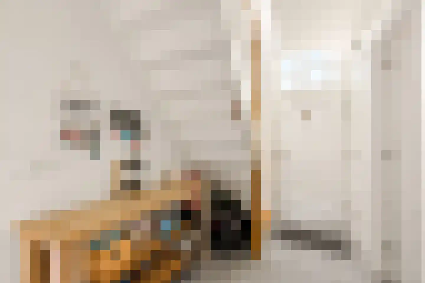 Peelstraat 21 Boekel thumbnail 5