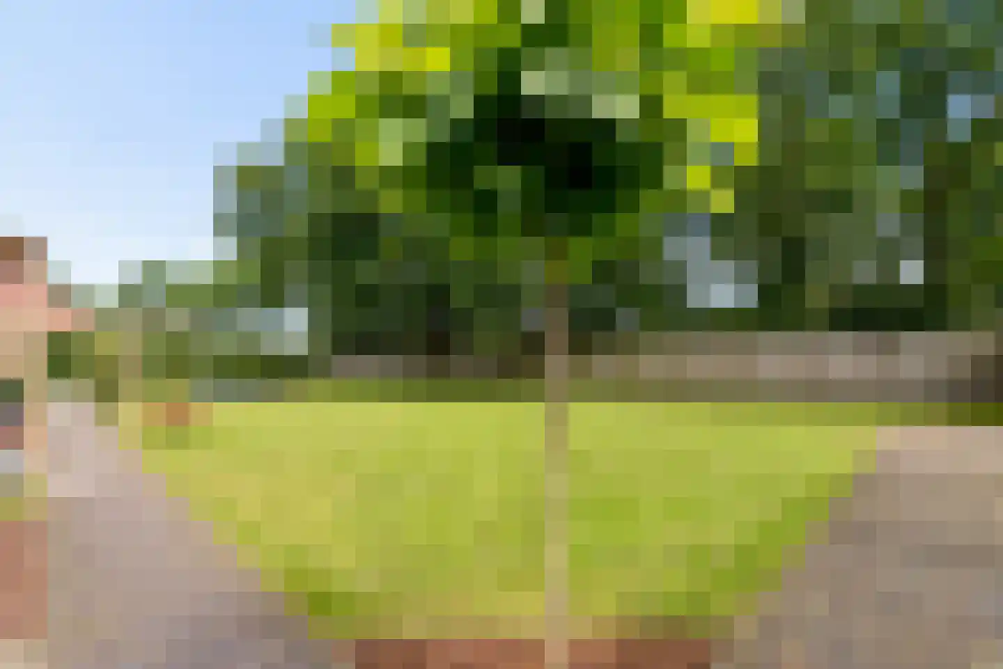 Peelstraat 21 Boekel thumbnail 51