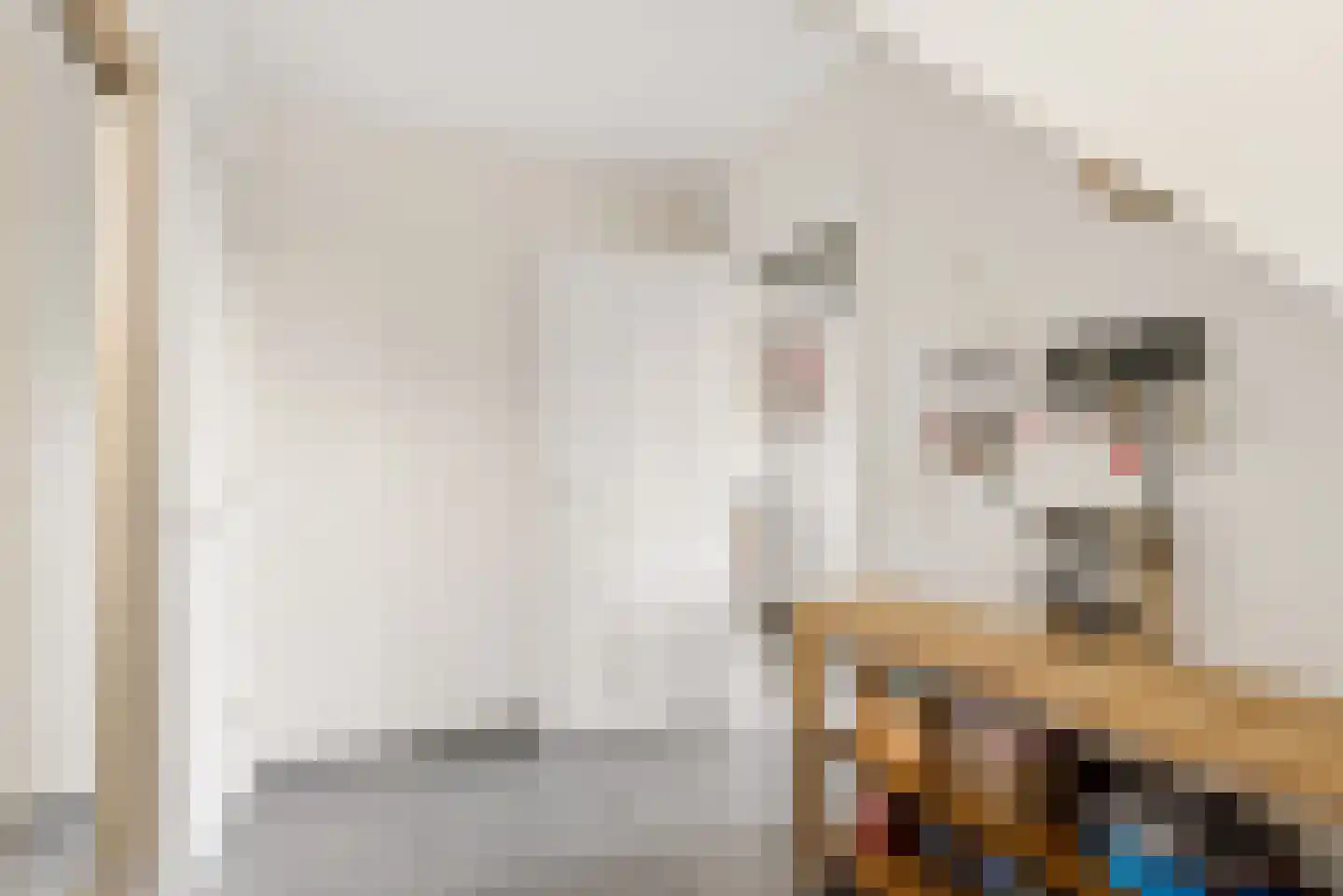 Peelstraat 21 Boekel thumbnail 6