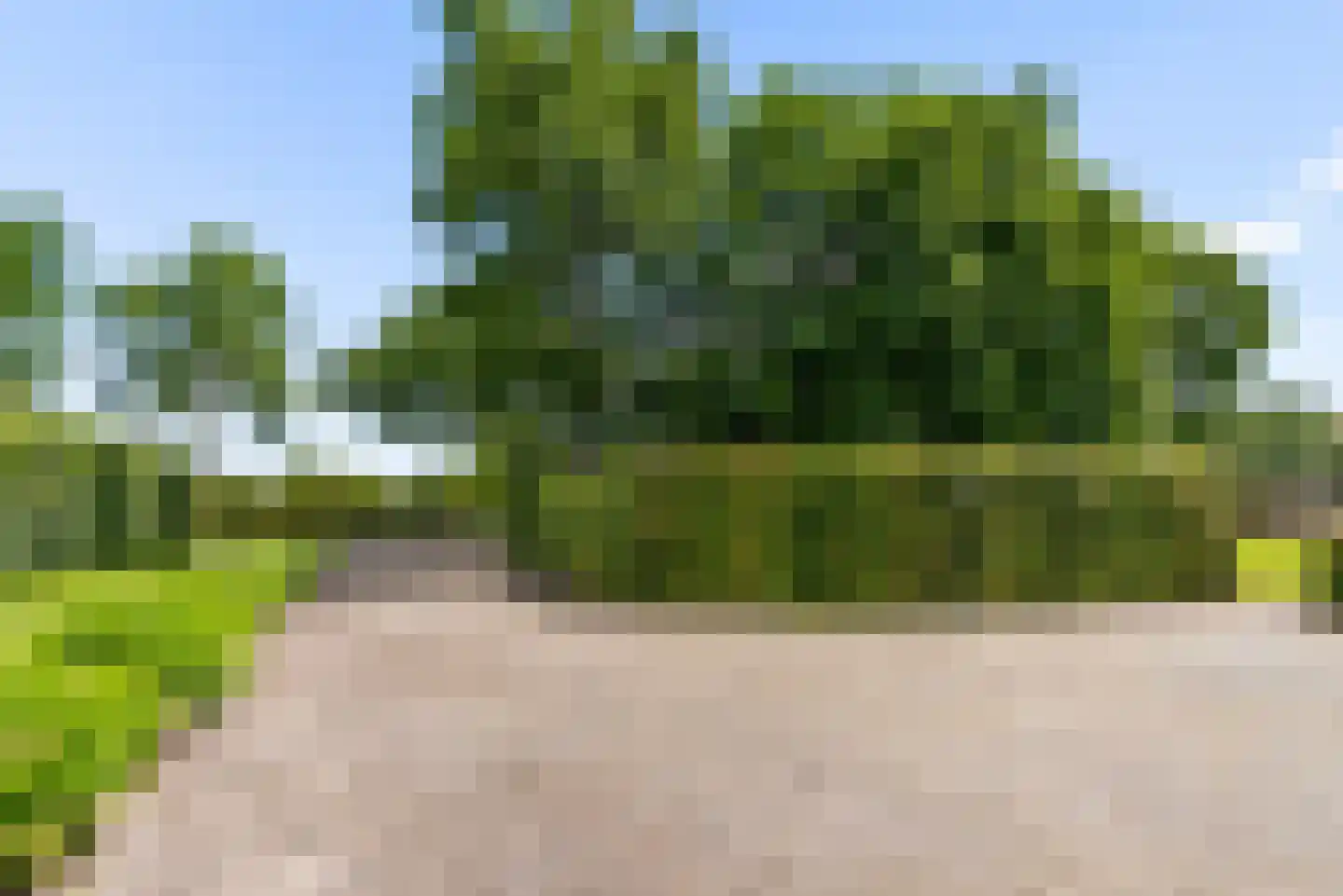 Peelstraat 21 Boekel thumbnail 61