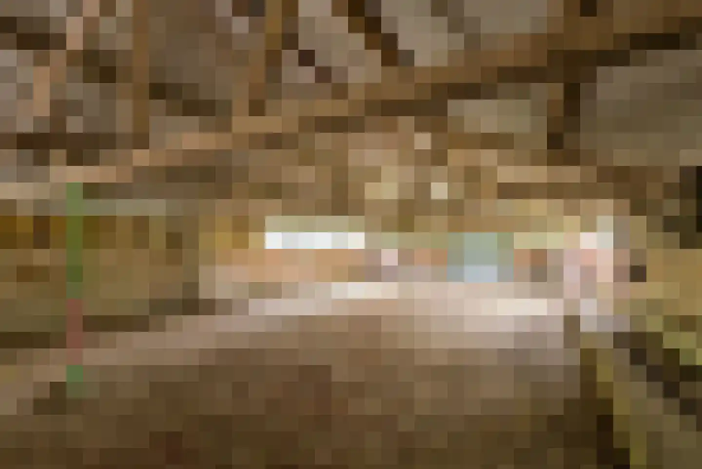 Peelstraat 21 Boekel thumbnail 63