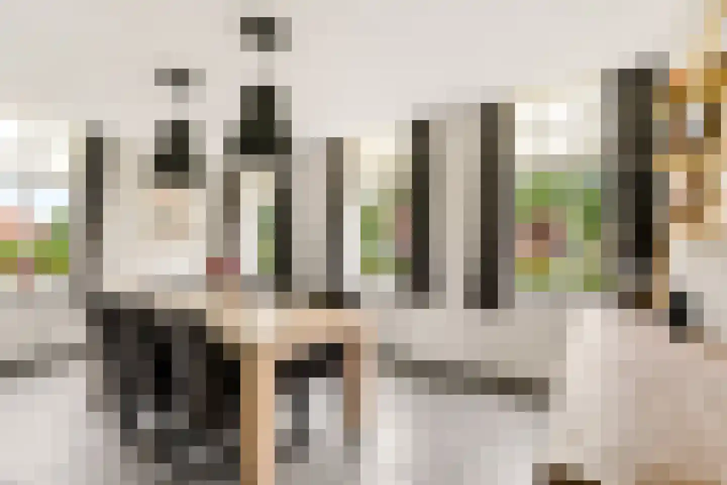 Peelstraat 21 Boekel thumbnail 9