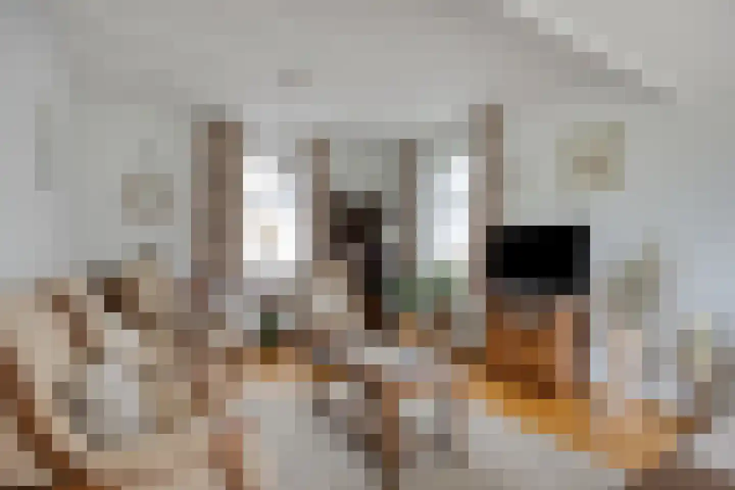 Peelstraat 3 Wanroij thumbnail 14