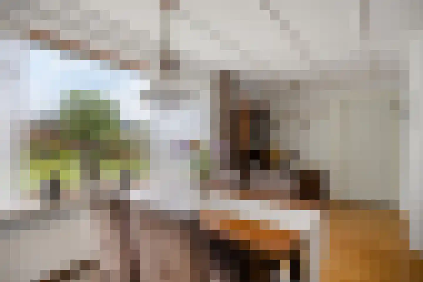 Peelstraat 3 Wanroij thumbnail 17