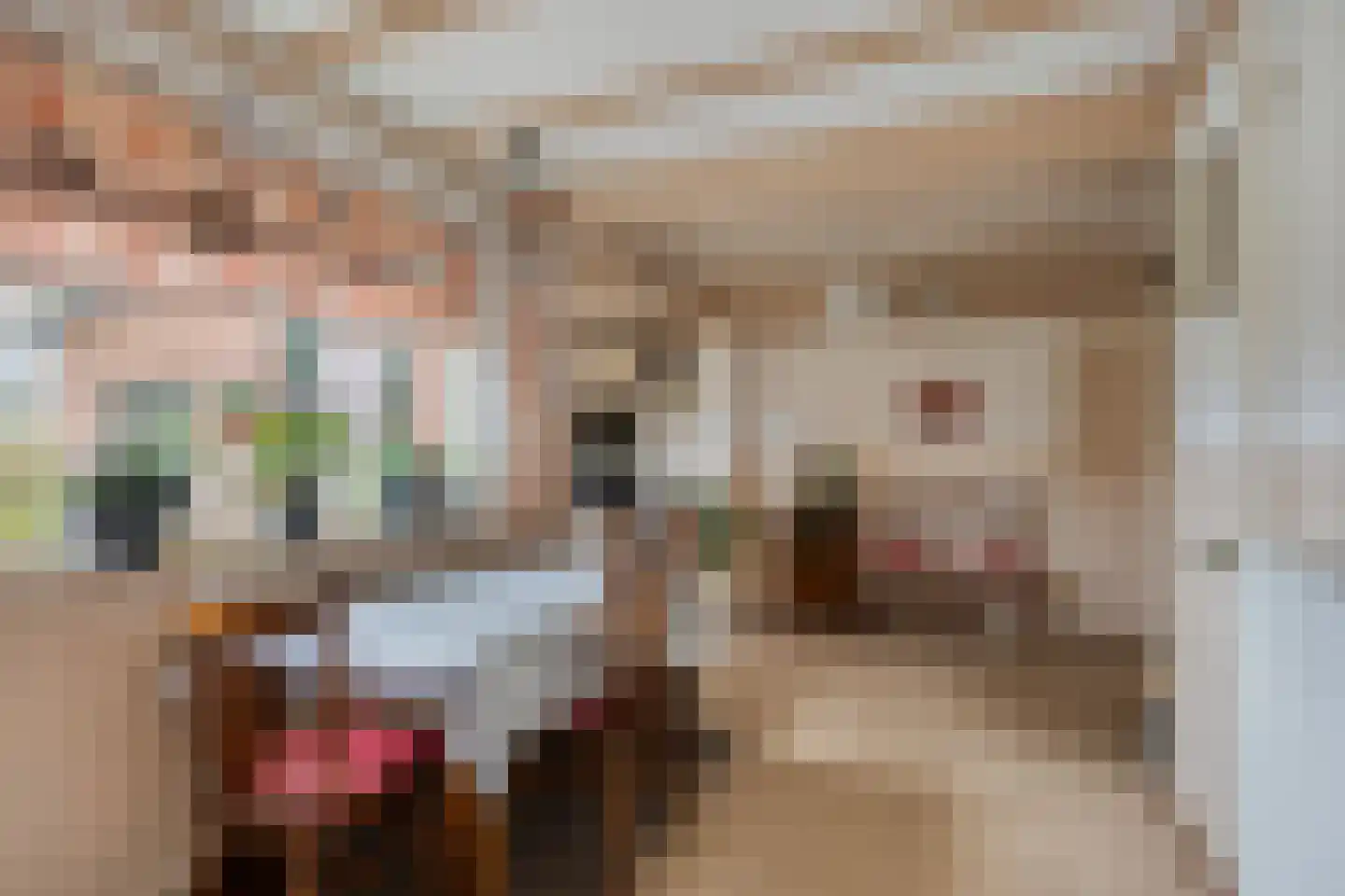 Peelstraat 3 Wanroij thumbnail 20
