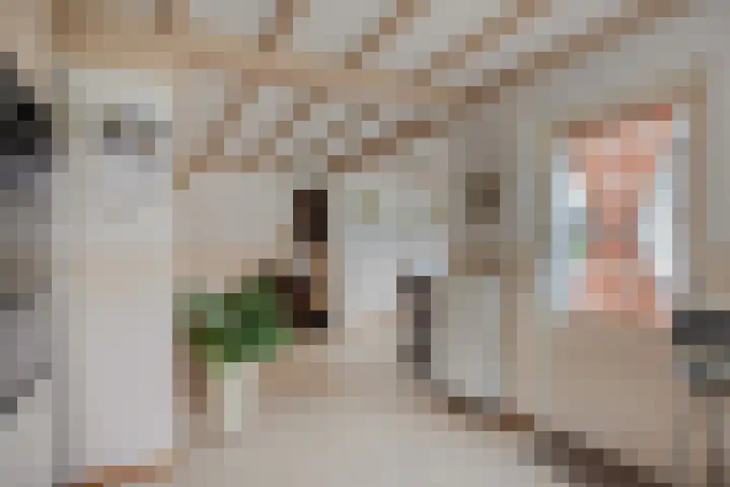 Peelstraat 3 Wanroij thumbnail 22