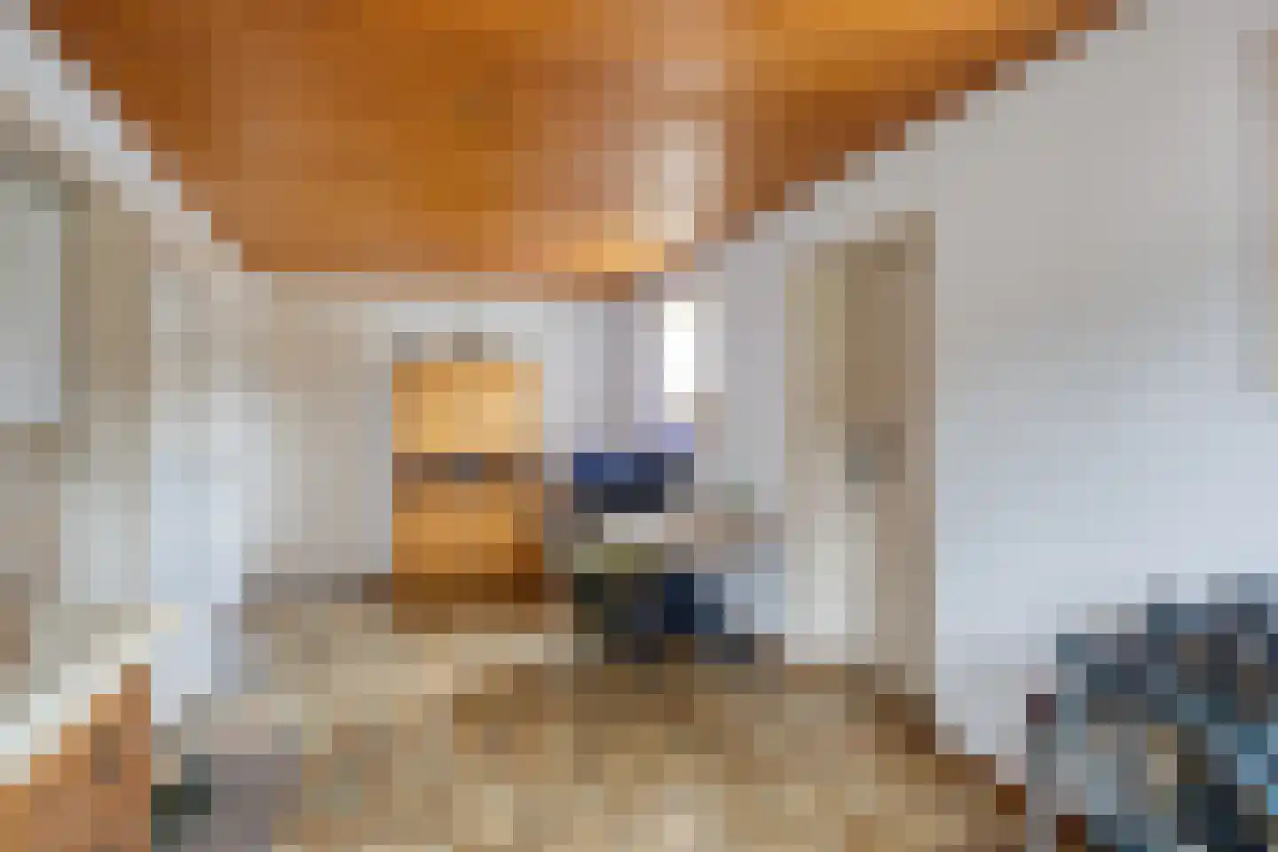 Peelstraat 3 Wanroij thumbnail 28