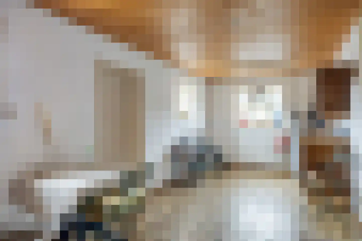 Peelstraat 3 Wanroij thumbnail 29